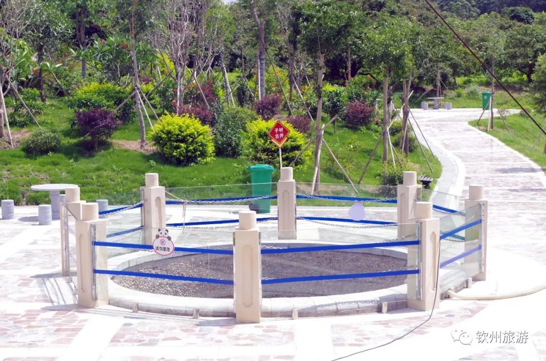 钦州花卉小镇旅游攻略,北部湾花卉小镇最佳观赏时间