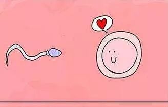 不孕不育科【好孕】病例分享（三）｜中药保留灌肠治疗输卵管性不孕疗效佳