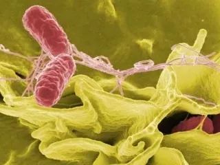 4岁男童10天换血7次，只因吃了半根生黄瓜，夏季这些食物你还在给孩子吃吗？