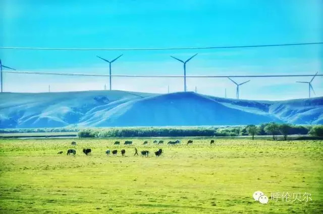 呼伦贝尔大草原旅游景点,呼伦贝尔景点合集