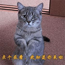 风油精喷在衣服上会怎么样,风油精滴到衣服上要怎么解决