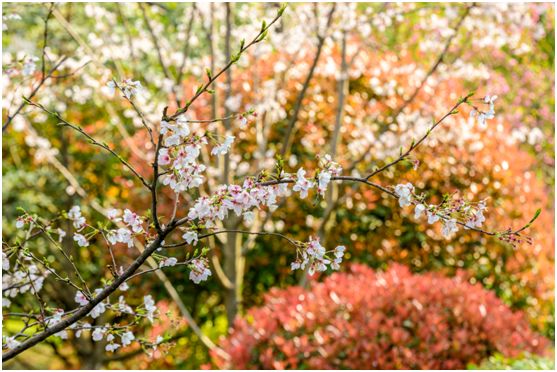 操盘：二线城市豪宅如何营销？用这3道3术夺冠三年