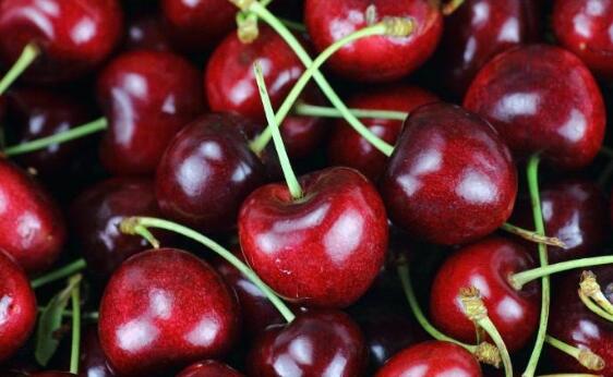 新鲜樱桃怎么保存,新鲜的樱桃怎么保存的时间更长