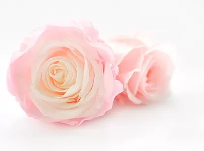 我们是冠军英文女版,我们是冠军中国女足图片