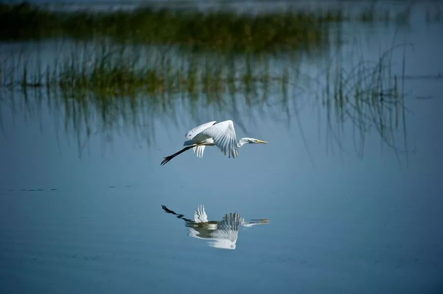 父亲节松山湖华为欧洲小镇,松山湖父亲节攻略