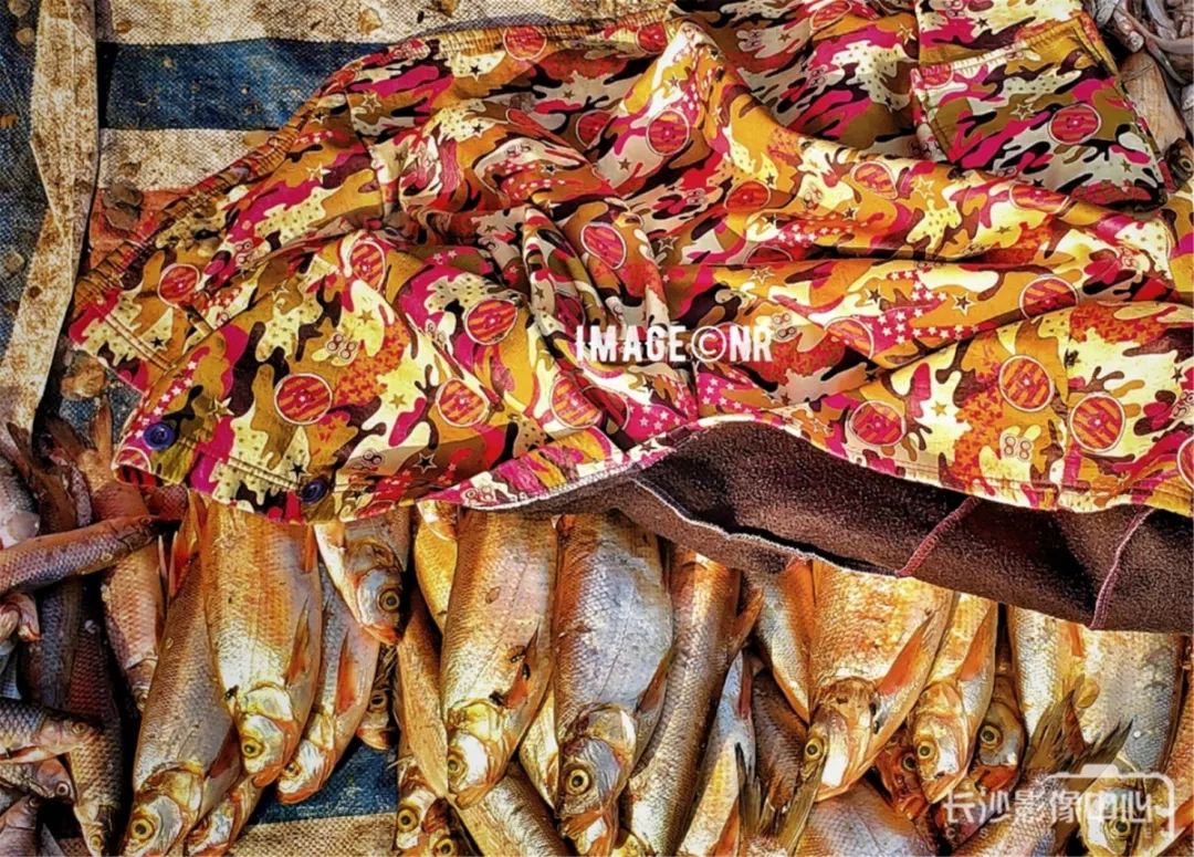 琛屾憚璇氭嫑鍏ㄥ浗鍚堜綔浼欎即,琛屾憚婀栧崡