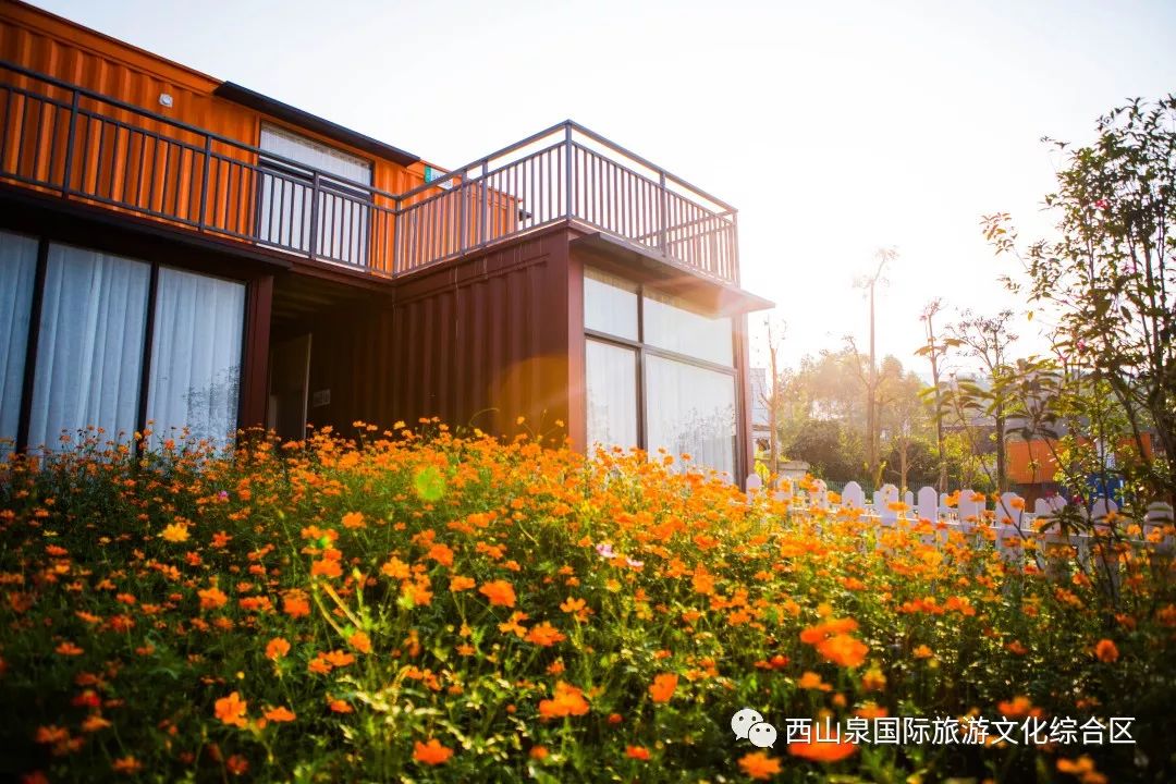 贵港周边网红打卡地一日游,贵港旅游团网红打卡景点