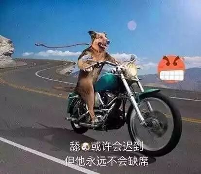 学医的千万不要和同行谈恋爱,千万不要和医学生聊天