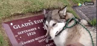 我终于战胜了抑郁症,感谢医生治好了抑郁症