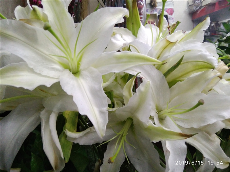 4000毫安电池红米手机,红米7与红米7a哪个值得购买