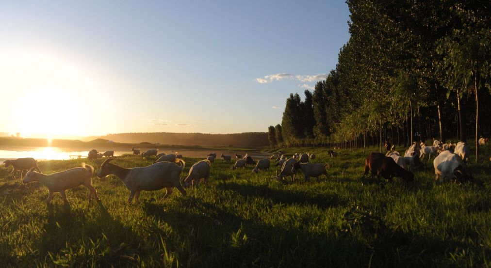 大厂玩水地方推荐,大厂户外玩水