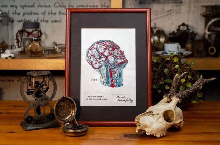 双11到底有什么优惠,双11到底哪些优惠