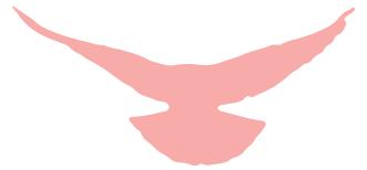 她们行在“和”之路上……