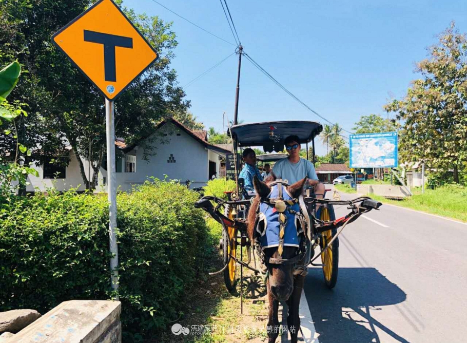 亲身体验刺绣,蜡染体验中国非遗