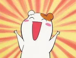 大连和苏州哪个更宜居,苏州杭州气候哪个宜居