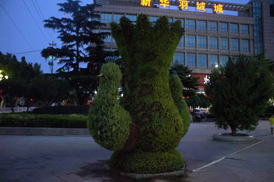 莱州广场有哪些,莱州好玩的公园