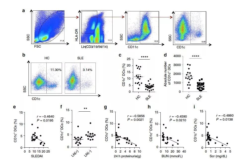 临床可期：间充质干细胞治疗系统性红斑狼疮机理获揭秘