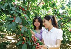 去最美的地方纪录片,最美县城旅游攻略