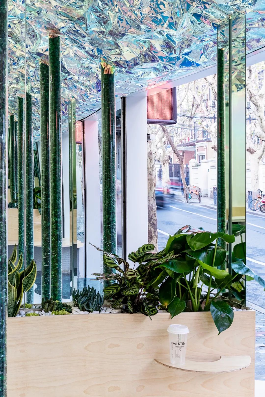 夏天来喝夏天的一杯奶茶,夏天在森林里喝咖啡