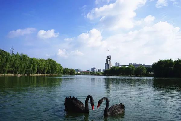 合肥工业大学2019年招生计划,2021合肥工业大学招生办电话