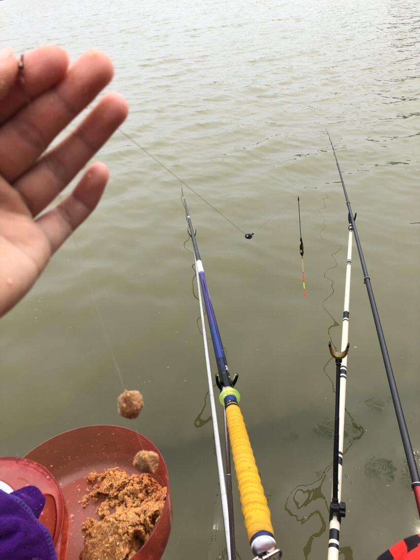初春河流大水面野钓,大水面滑漂野钓