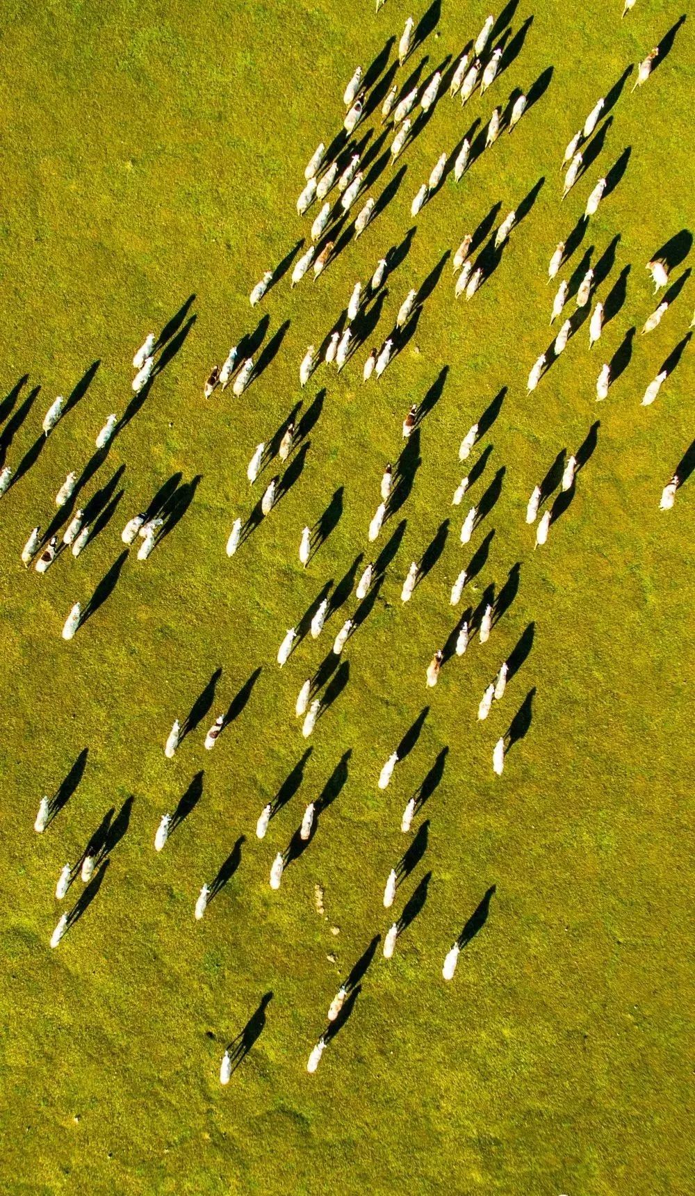 「荐读」朋友圈消失两年，他独自航拍中国，照片惊艳世界