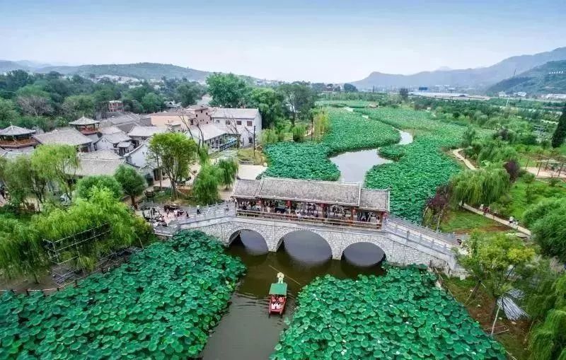 小荷已露尖尖角！陕西这5个清新荷塘雨中沁香，朦胧又诗意~