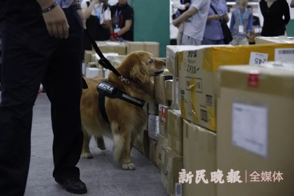 新型毒品精神类药品,新型毒品蓝精灵危害