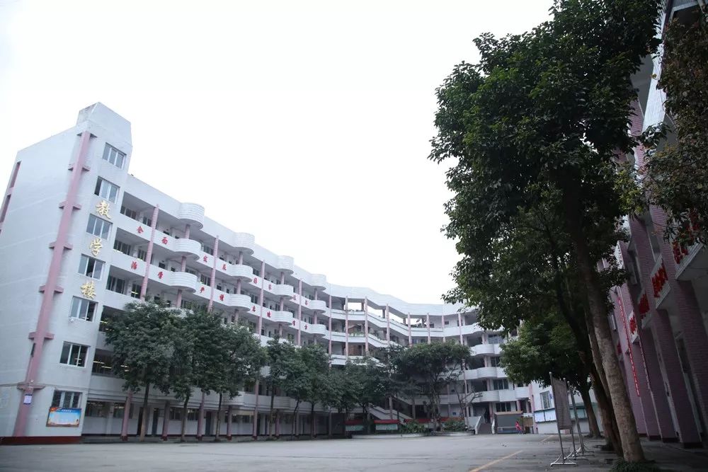 内江六中唐昭强人大代表,内江六中校长唐昭强图片