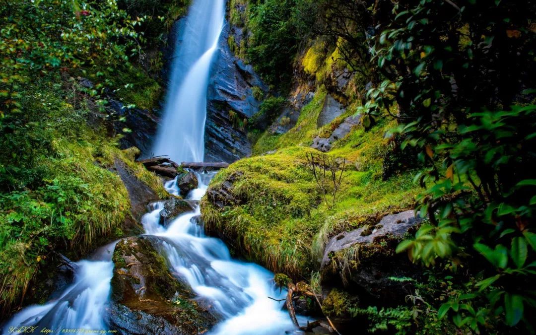 山南在哪里买手机,山南在哪里卖黄金