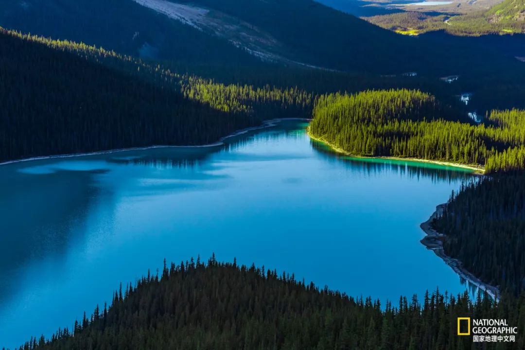 热爱摄影热爱跑步热爱生活,如果你热爱拍照