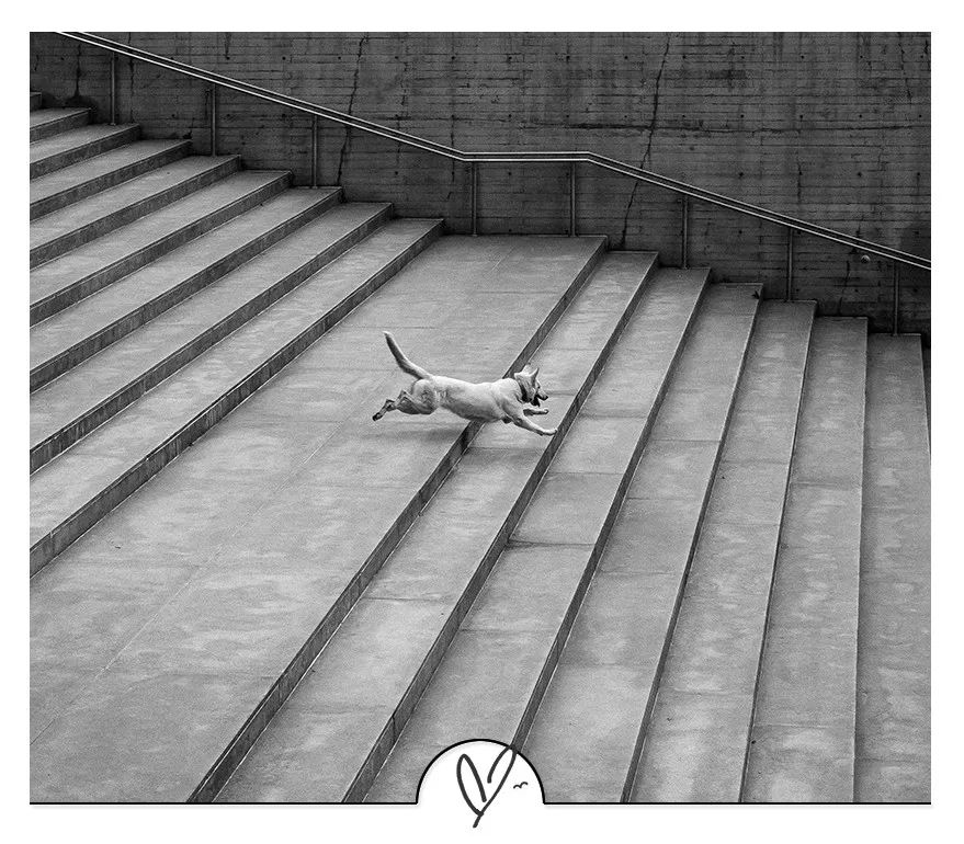 林清玄的人生哲理，留在他的最后一条微博里……