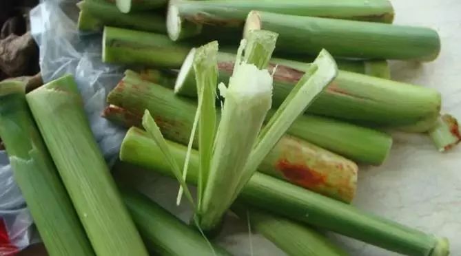 别愁！垃圾分类查询库正逐步扩容！成品油再次下调！房产继承、赠予直系亲属不征个税！