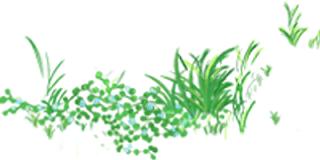 武汉杨春湖社区足球公园,杨春湖足球场