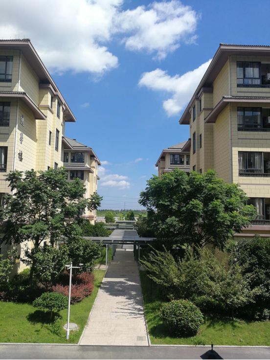 杭州民办学校排名前十,杭州民办学校最新排名