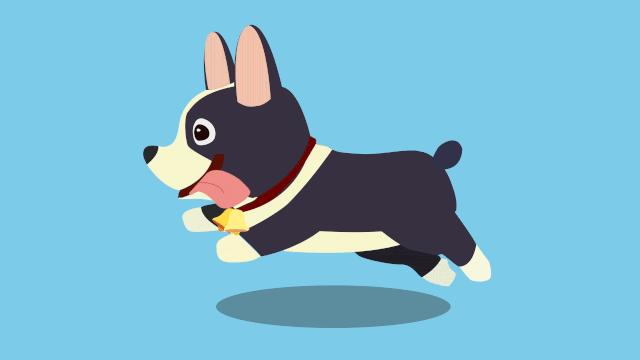 宁波养了个禁养犬要罚多少钱,动真格整治方法