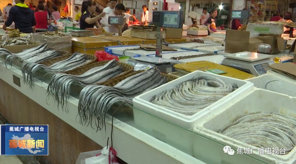 东湖广场试营业,东湖市场建设