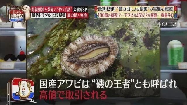 黑帮的穷途末路,黑道家族的崛起和衰败