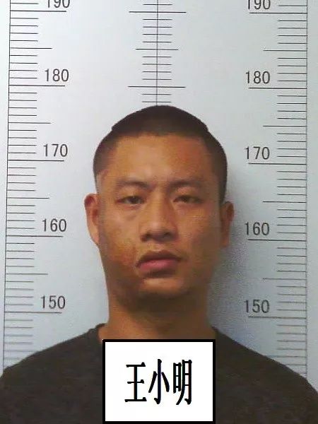 官方公告征集涉黑恶团伙犯罪线索,公开征集涉黑涉恶犯罪线索