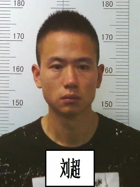 王蕾涉黑案公审判决,关于公开征集涉黑涉恶