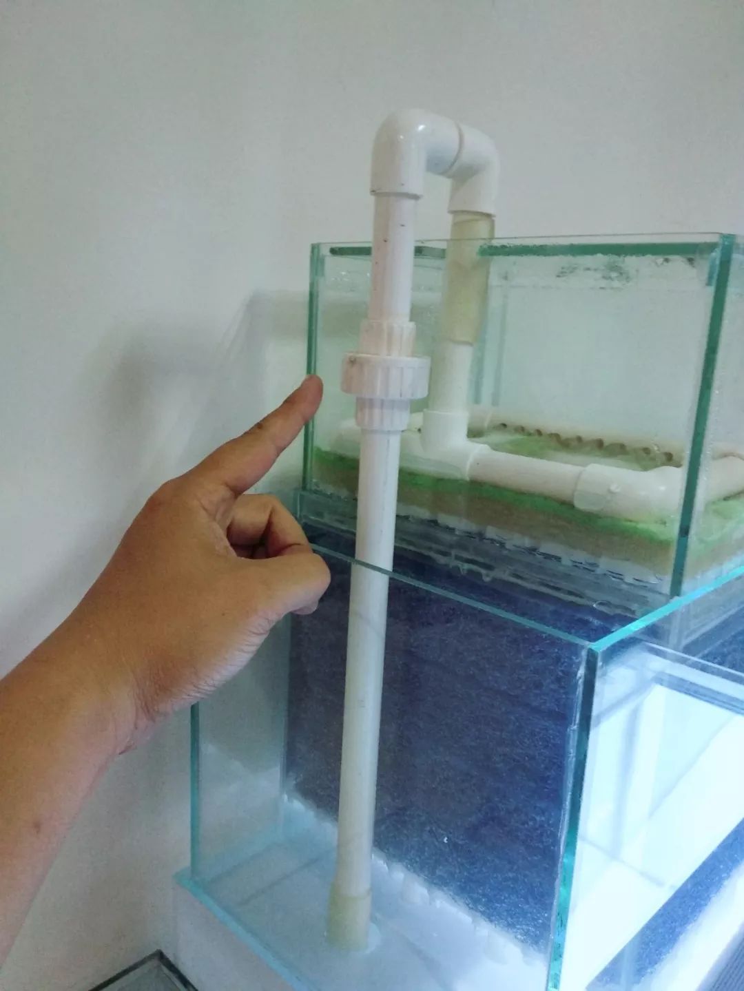 大神「鱼勇」DIY一缸多用“直播”教程，好缸无需再等