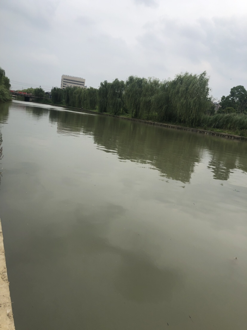 风大浪大好钓海鱼吗,风大浪大钓底还是钓浮