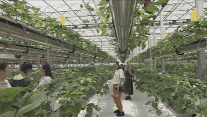 夏邑县美丽乡村介绍,美丽乡村之全景地图夏邑