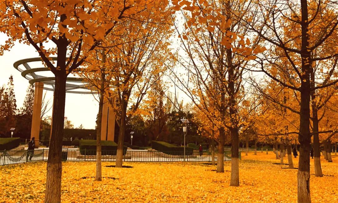 黄帝内经说春夏养生,春生夏长秋冬的养生方法