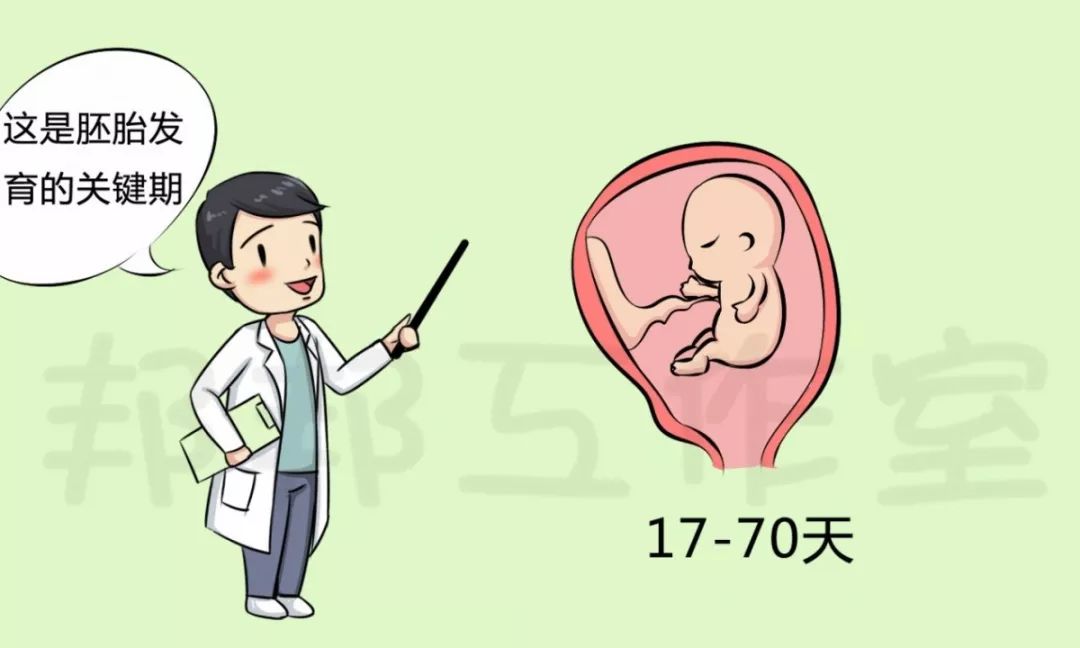 孕妇全身过敏瘙痒最快的解决办法,怀孕过敏痒痒如何快速止痒