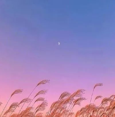 一个人最大的竞争力是什么,一个人最核心的竞争力是思维方式