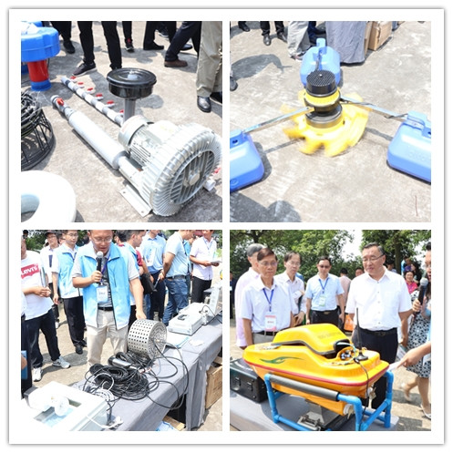 规模化水产养殖业基地的建设,打造国家级畜牧水产品基地