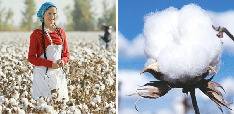 不起球船袜推荐,不臭脚隐形船袜