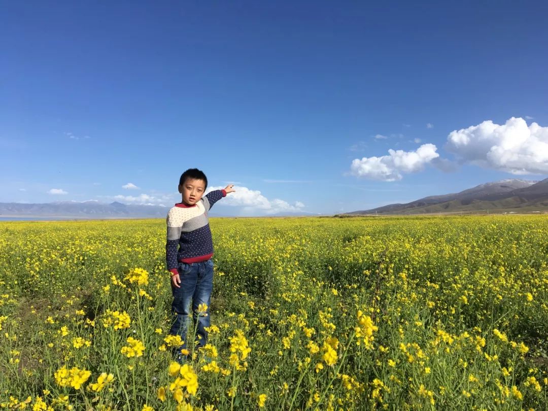 初二休学一年环游世界,夫妻休学带孩子环游世界