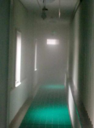 非瘟后的猪场消毒程序,非瘟猪场消毒总结